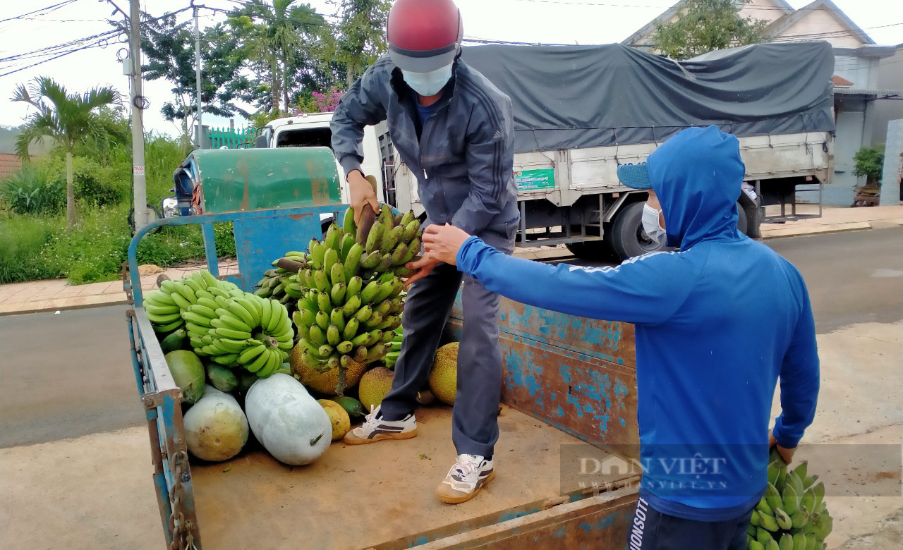 Nông dân Đắk Nông gom hàng trăm tấn nông sản hỗ trợ người dân vùng dịch - Ảnh 9.