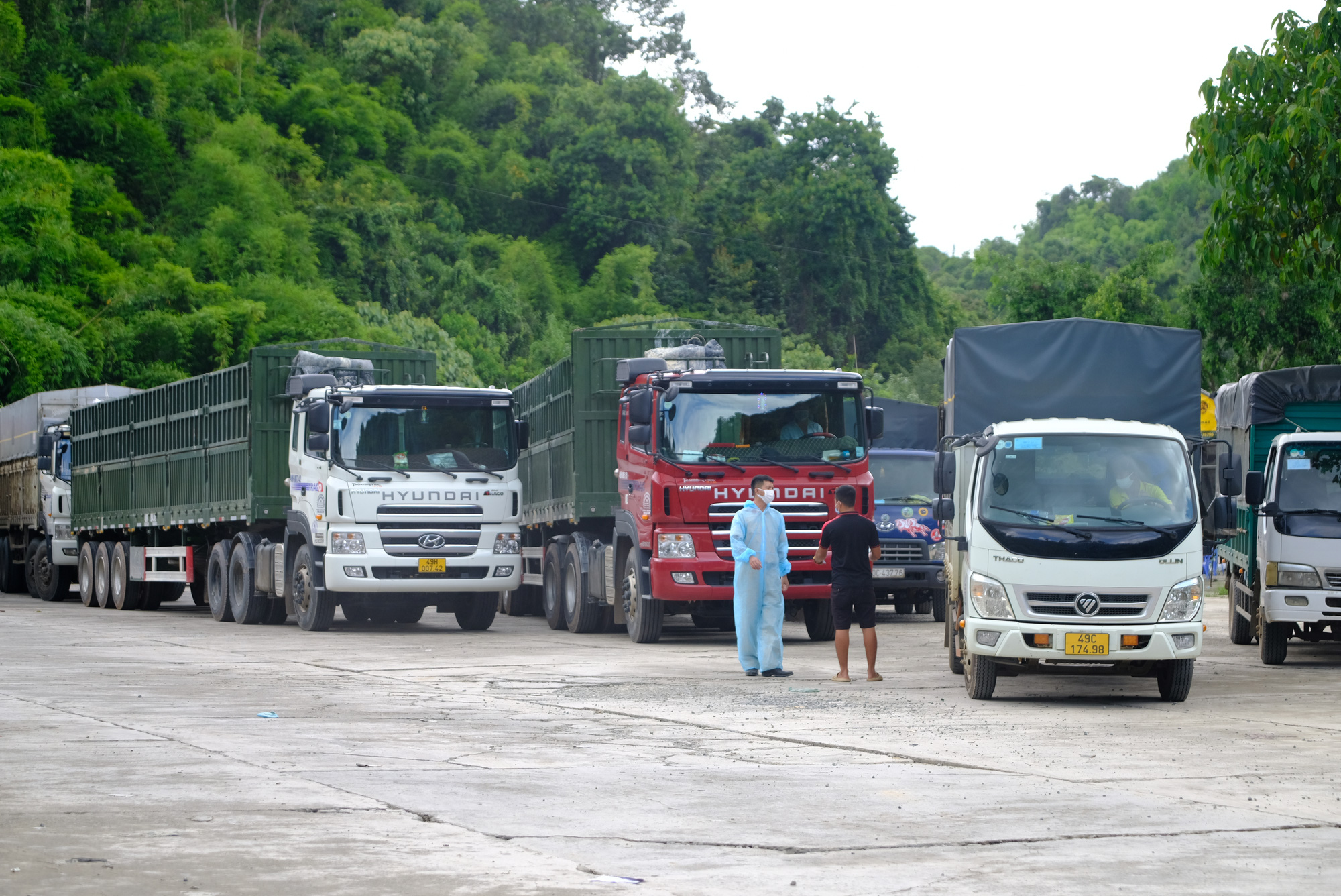 Nguyên nhân dẫn tới ùn ứ nhiều xe tải tại chốt kiểm dịch đèo Chuối - Lâm Đồng - Ảnh 1.