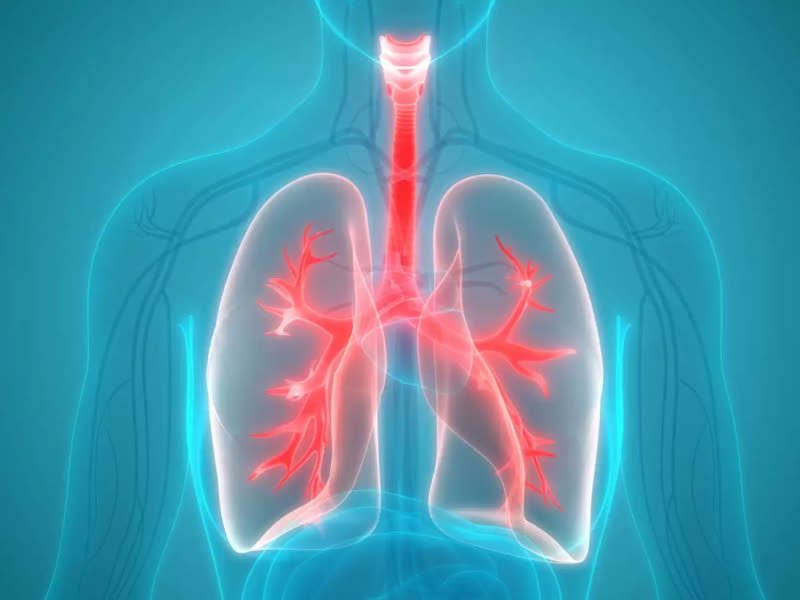 Các nhà khoa học Ấn Độ công bố giải pháp mới trong điều trị ung thư phổi - Ảnh 1.