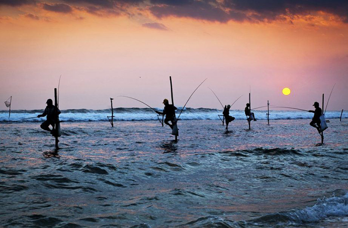 Sri Lanka: Bộ lạc “Người Rừng” nổi tiếng với tục lệ muốn lấy vợ phải vượt qua thử thách kỹ năng làm chồng - Ảnh 1.