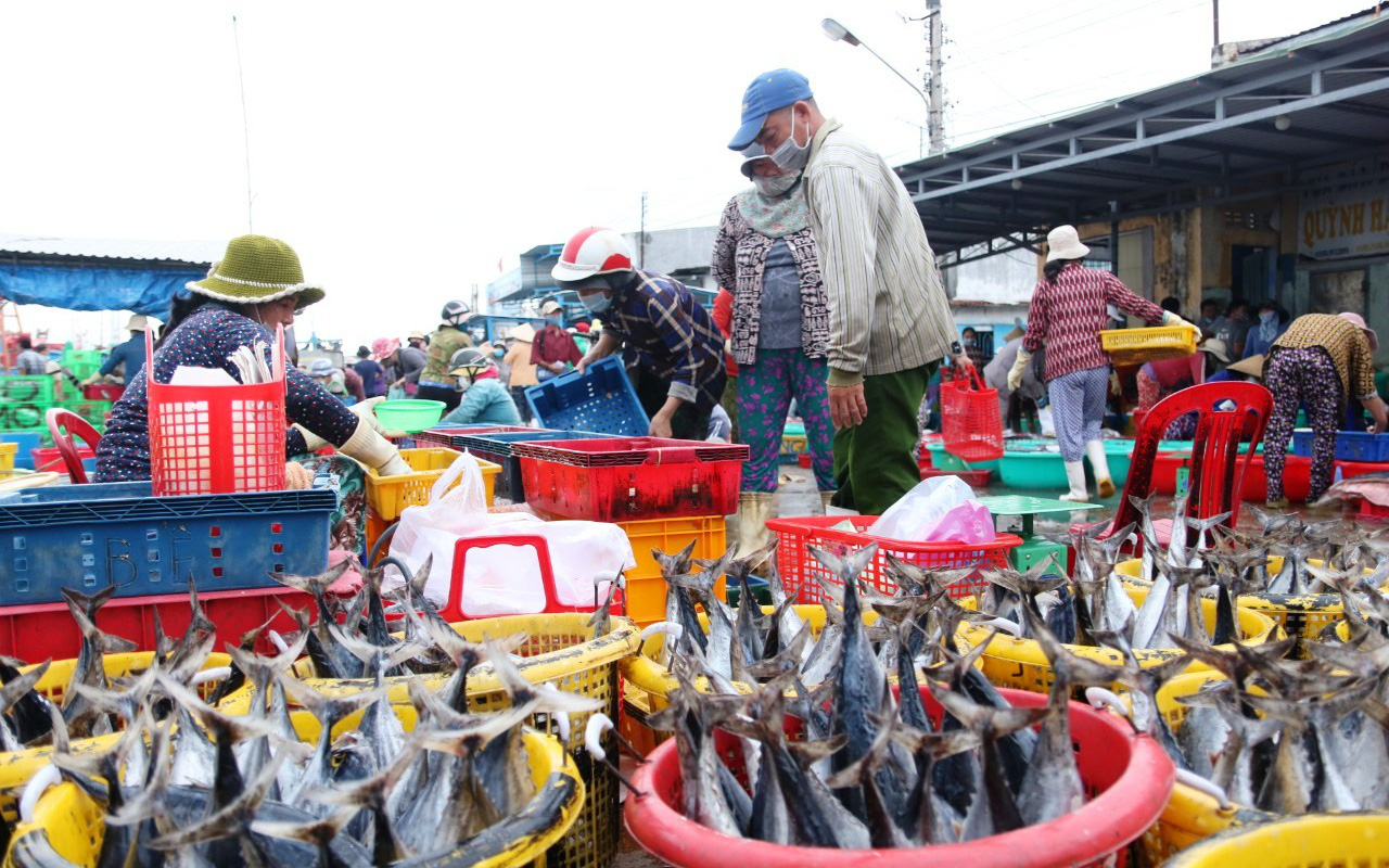 Ninh Thuận: Tạm ngưng hoạt động cảng cá Đông Hải để phòng chống dịch Covid-19