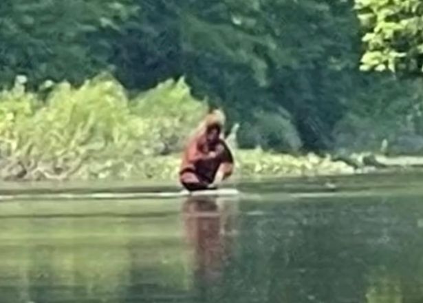 Video: Bất ngờ trước cảnh quái vật Bigfoot ôm con lội qua sông - Ảnh 2.
