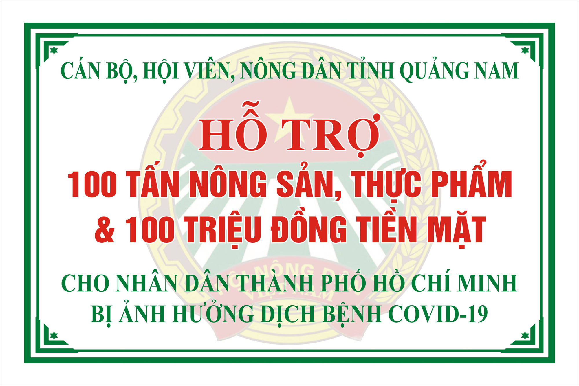 Chuyến xe nghĩa tình kèm 100.000 bộ kit test nhanh của Thaco tỷ phú Trần Bá Dương tặng Quảng Nam - Ảnh 7.