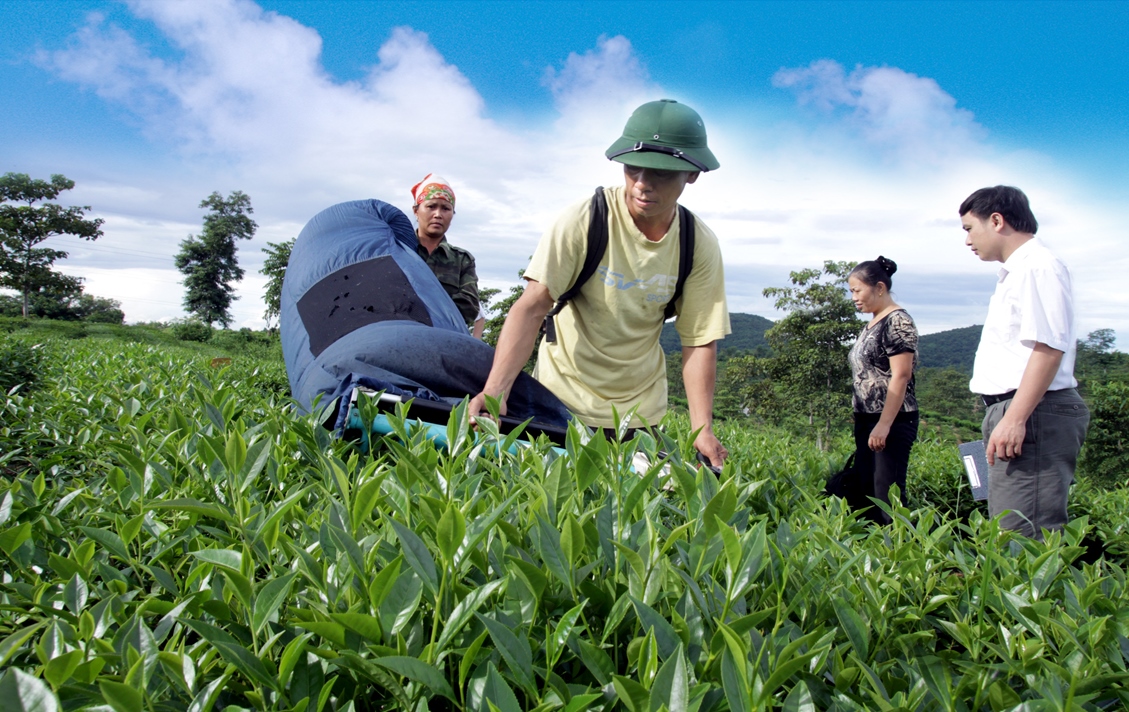 Agribank tiếp sức hộ sản xuất, doanh nghiệp vững tin vượt qua đại dịch - Ảnh 4.