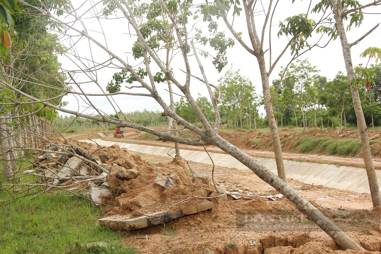 Kênh thủy lợi hơn 540 tỷ Gia Lai hư hỏng: Chủ đầu tư yêu cầu rà soát công trình - Ảnh 3.