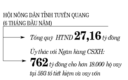 Có vốn nuôi trâu, làm giàu không khó - Ảnh 3.