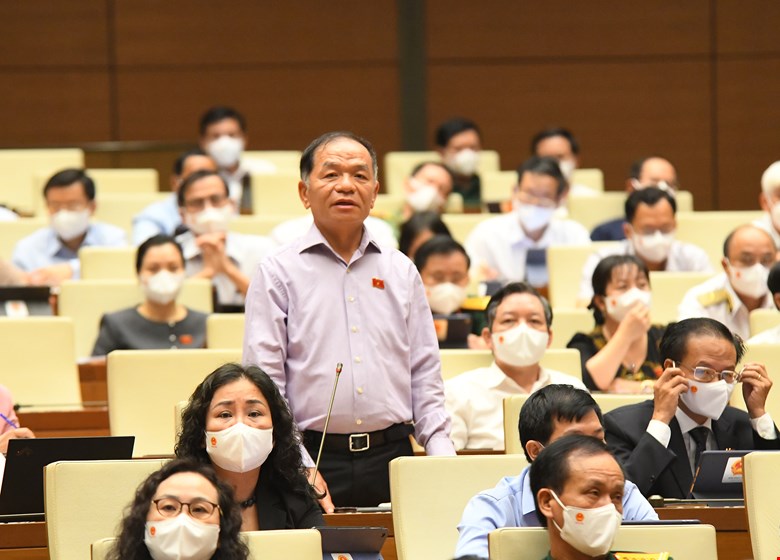 Đại biểu Quốc hội dẫn vụ Phó Chủ tịch phường ở Nha Trang nhận thức ấu trĩ về chống dịch - Ảnh 1.