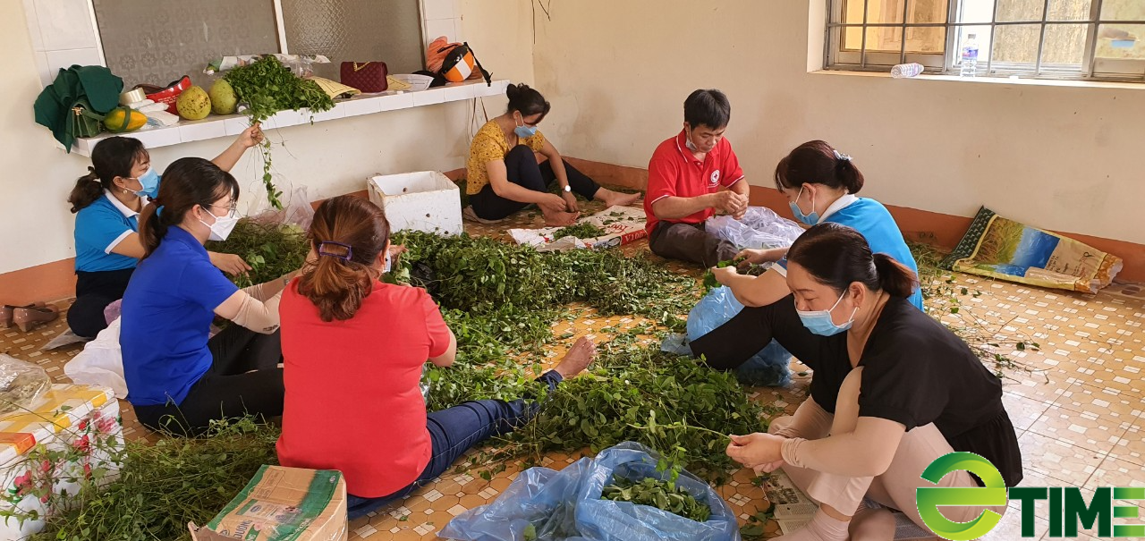 Bà con Bình Định gói ghém &quot;quà quê&quot; rau trứng, củ quả... gửi vào TP.HCM thân yêu - Ảnh 7.