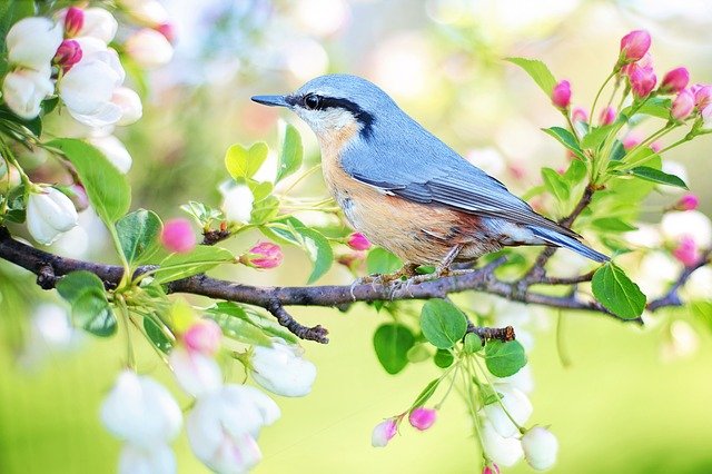 Sinh vào 6 ngày Âm lịch này, cả đời hưởng phúc, tiền bạc dư dả, tình yêu sung túc - Ảnh 1.