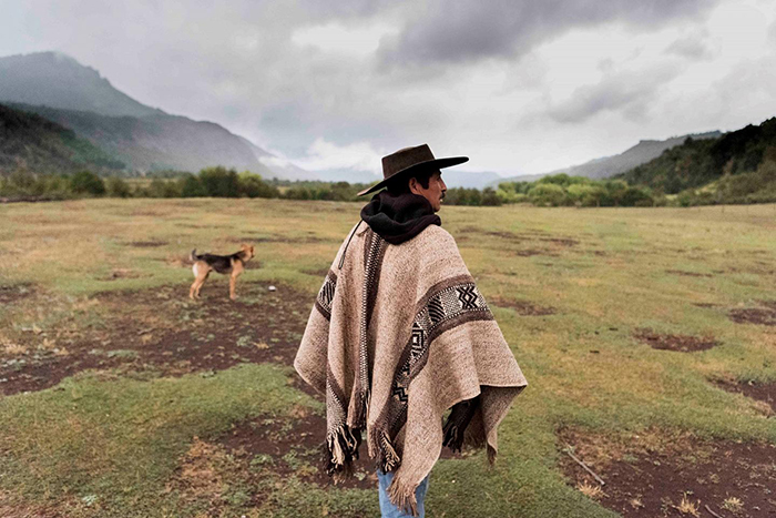 Bộ lạc thổ dân Mapuche được săn đón với phương thuốc bí truyền “tăng cường chuyện gối chăn” - Ảnh 4.