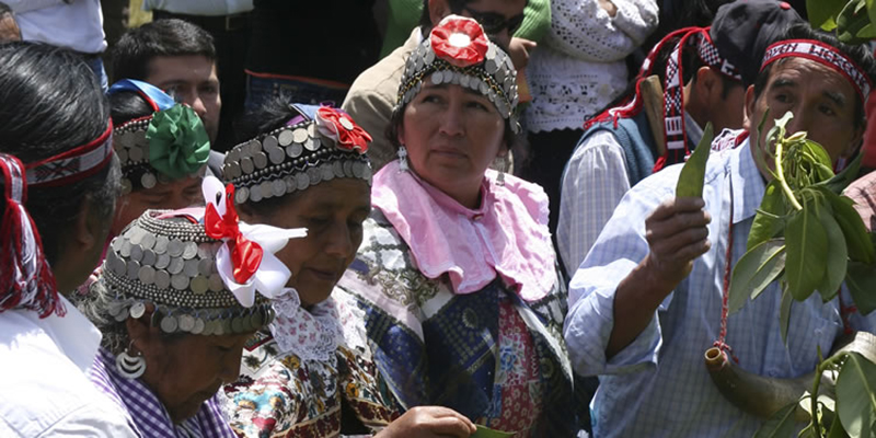 Bộ lạc thổ dân Mapuche được săn đón với phương thuốc bí truyền “tăng cường chuyện gối chăn” - Ảnh 5.