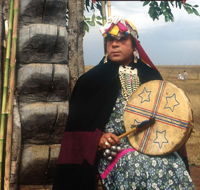Bộ lạc thổ dân Mapuche được săn đón với phương thuốc bí truyền “tăng cường chuyện gối chăn” - Ảnh 6.