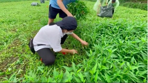 Chuyện của sao Việt(22/7): Diễn viên Kim Đào bật khóc &quot;báo tin vui&quot; sau khi mắc Covid-19 - Ảnh 6.