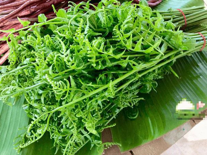 Giá 200.000 đồng/kg, loại rau được cho là thần dược &quot;trường sinh&quot; được người Hà Nội săn lùng - Ảnh 2.