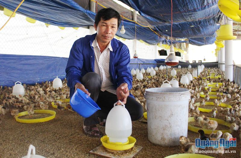 Quảng Ngãi: Ông nông dân Nguyễn Tấn Dũng bỏ nghề lái xe về làm trang trại tổng hợp thu về tiền tỷ - Ảnh 1.