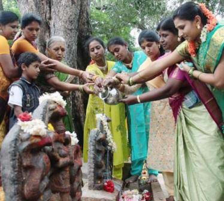 Ấn Độ: Du khách sởn da gà với nghi thức rưới sữa, đối mặt với loài động vật bò sát này - Ảnh 2.