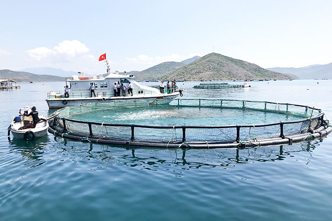 Doanh nghiệp đầu tư nuôi trồng thủy sản được hỗ trợ 15 tỷ đồng/dự án - Ảnh 1.