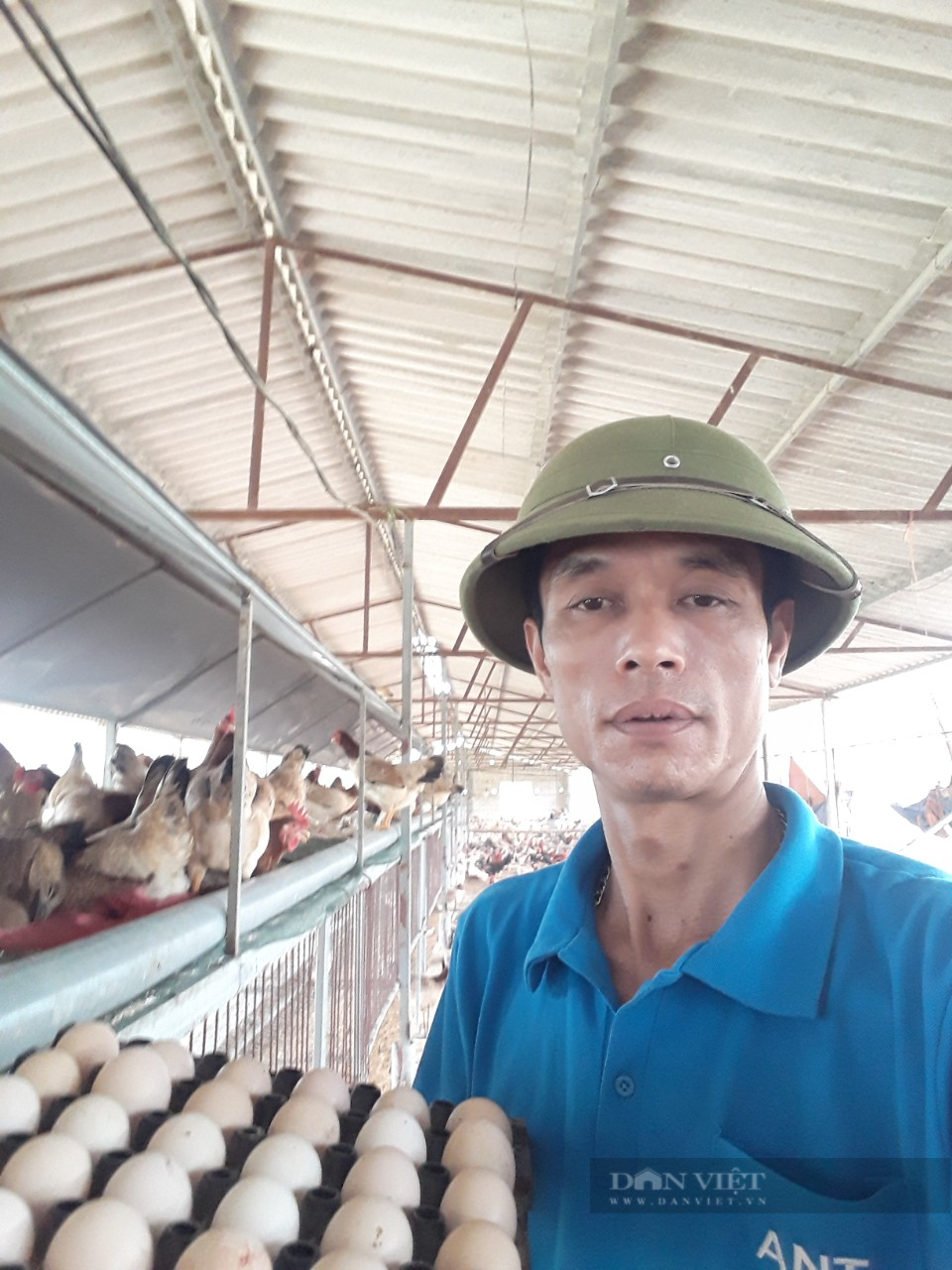Ế ẩm vì Hà Nội giãn cách, chủ trang trại gà đặc sản phải bán tháo đất lấy tiền duy trì chăn nuôi - Ảnh 2.