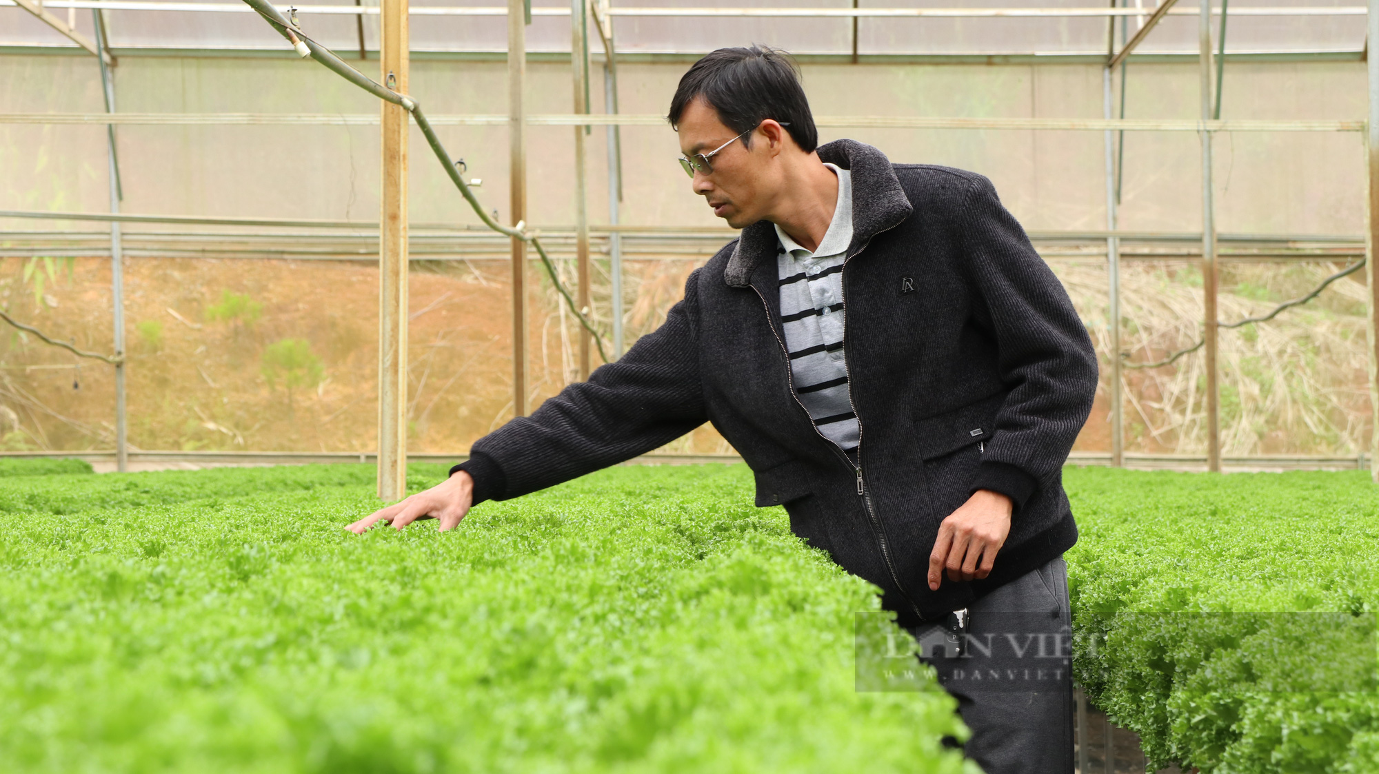 “Dũng cao” làm nông nghiệp công nghệ cao, xuất khẩu hàng trăm tấn rau xà lách đi Hàn Quốc - Ảnh 3.