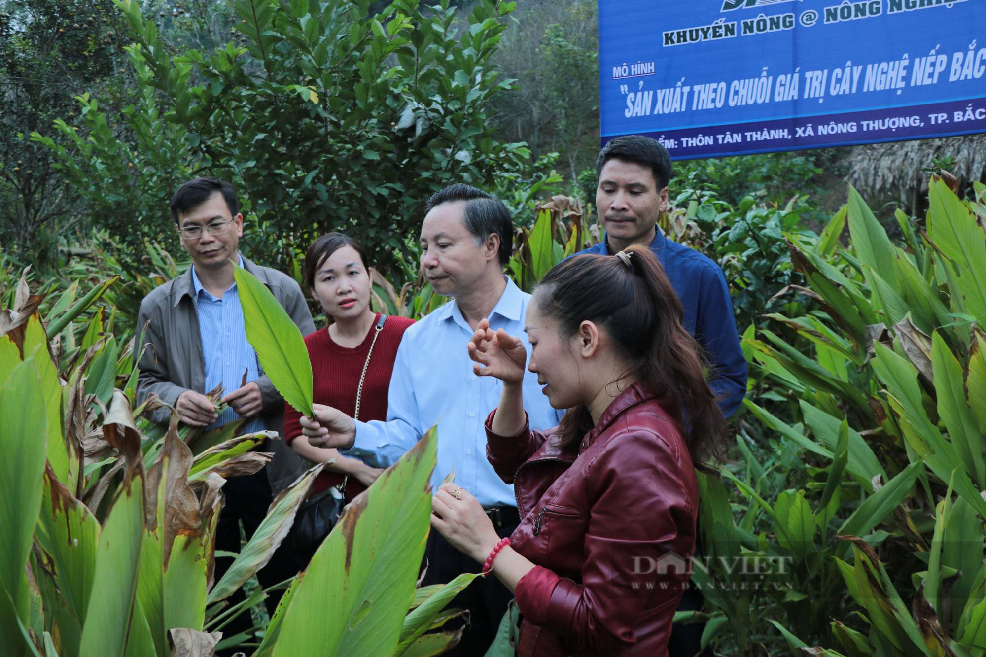 Phó Chủ tịch UBND tỉnh Bắc Kạn: Làm OCOP, Bắc Kạn biến khó khăn thành lợi thế - Ảnh 2.