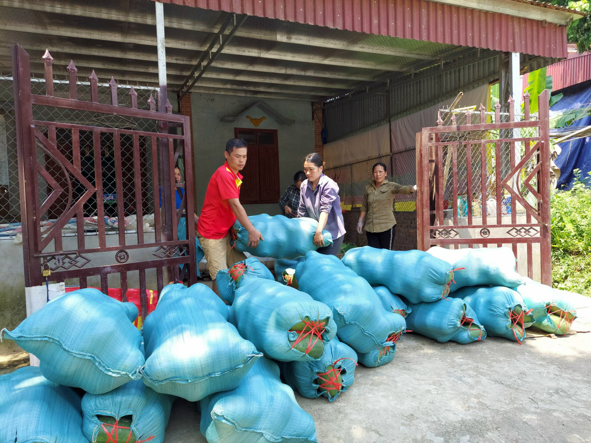 Phó Chủ tịch UBND tỉnh Bắc Kạn: Làm OCOP, Bắc Kạn biến khó khăn thành lợi thế - Ảnh 5.