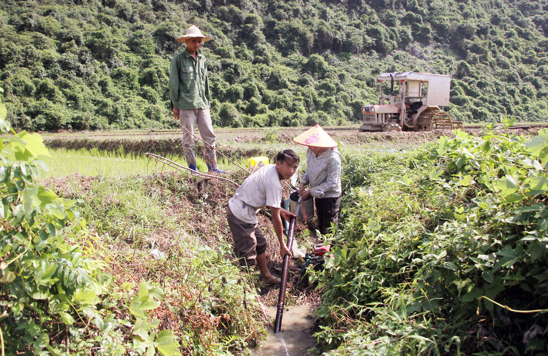 Thái Nguyên: Lạ và khó tin khi ở nơi này nông dân vừa phải đi mua nước về để...cấy lúa - Ảnh 3.