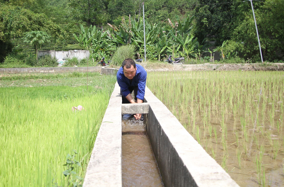 Thái Nguyên: Lạ và khó tin khi ở nơi này nông dân vừa phải đi mua nước về để...cấy lúa - Ảnh 1.