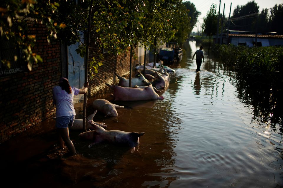 Lũ lụt kinh hoàng, người nông dân Trung Quốc cay đắng nhìn sinh kế bị cuốn trôi - Ảnh 1.
