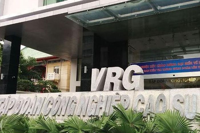 Tập đoàn Cao su Việt Nam (GVR): Lãi đậm, tăng 126% nhờ giá bán sản phẩm mủ cao su và gỗ - Ảnh 2.