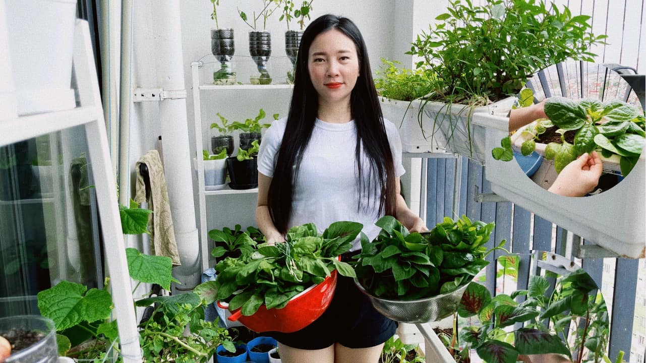 Ban công 7m2 vẫn đủ rau ăn cho cả nhà trong mùa dịch giãn cách ở Hà Nội - Ảnh 18.