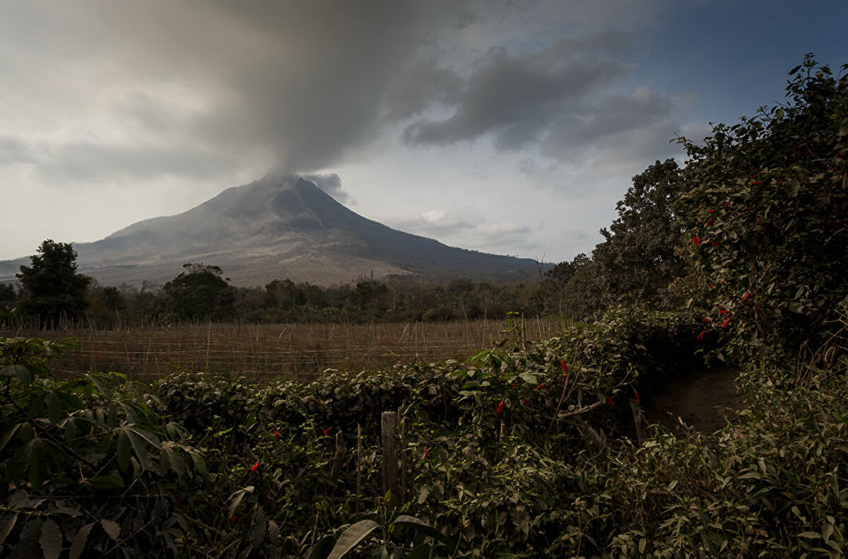 Núi lửa Sinabung ở Indonesia phun trào, khói bốc lên dày đặc - Ảnh 2.