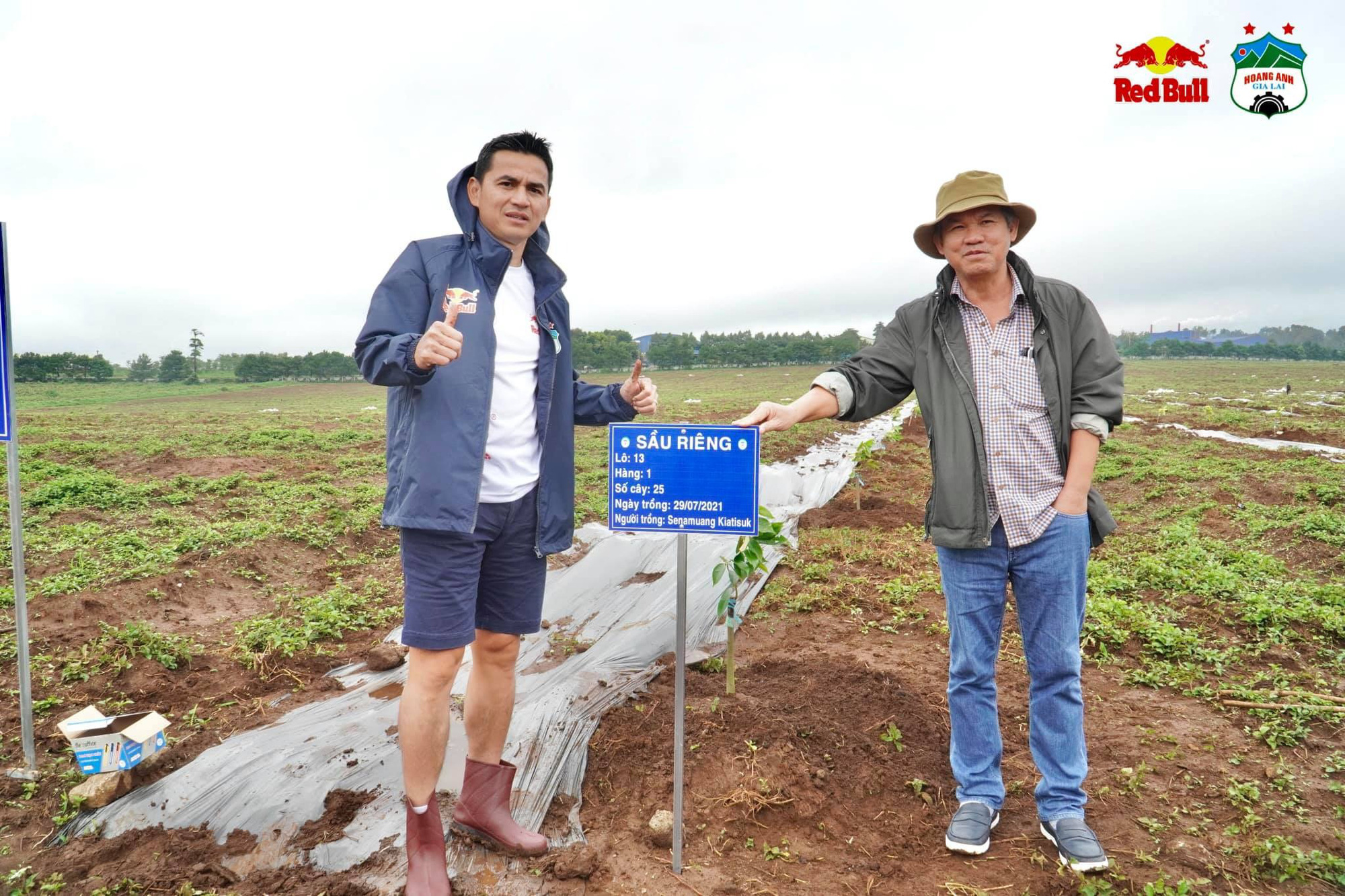 Nghỉ đá bóng, HLV Kiatisak cùng cầu thủ HAGL đi... làm nông - Ảnh 1.