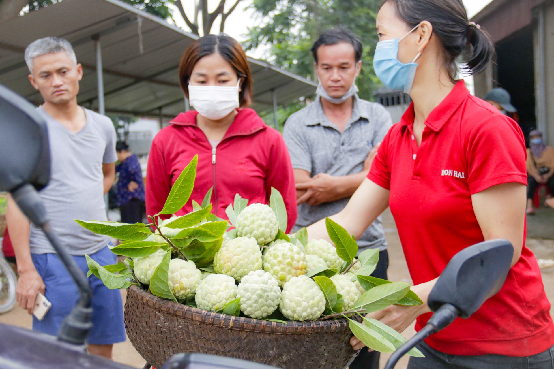 Một xã ở Bắc Giang thu hàng trăm tỷ đồng mỗi năm nhờ trồng loại quả vừa lắm mắt lại vừa ngọt và dai - Ảnh 3.