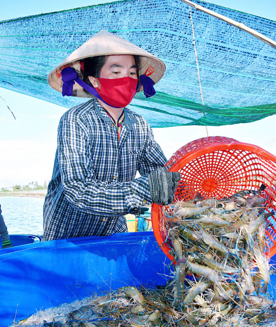 CEO Tập đoàn Thủy sản Bồ Đề Nguyễn Thị Hằng và ‘sứ mệnh’ hình thành cộng đồng sản xuất đầy trách nhiệm - Ảnh 8.