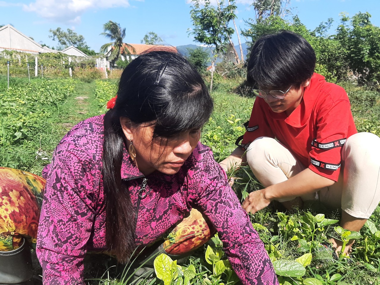 Khánh Hòa: Tỉnh đoàn, mạnh thường quân đã hỗ trợ kinh phí cho thủ khoa tốt nghiệp Trần Trọng Thắng - Ảnh 2.