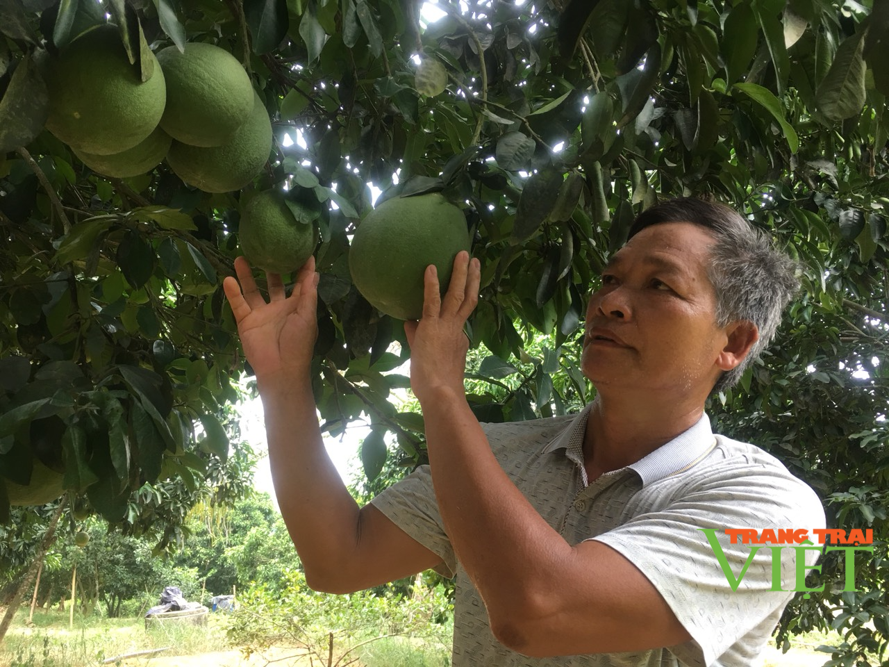 Hội Nông dân Hòa Bình: Tập huấn nâng cao nhận thức cho hội viên phát triển nông nghiệp - Ảnh 1.