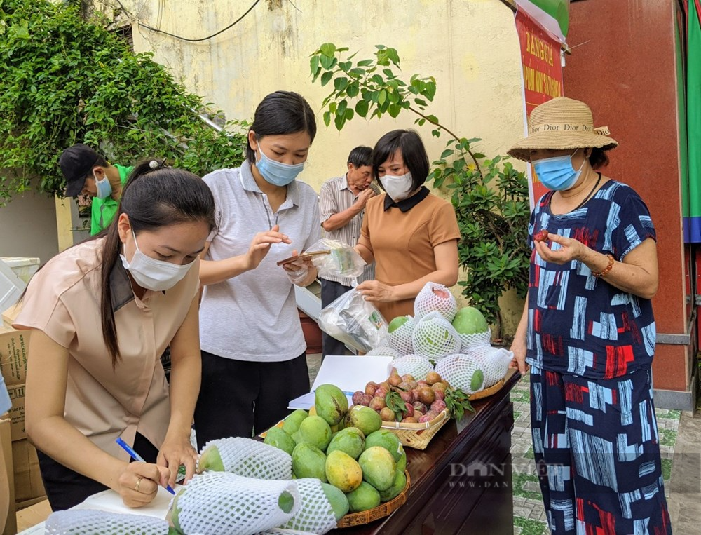 Hải Phòng: Quảng bá, tiêu thụ nông sản Sơn La không lợi nhuận - Ảnh 2.