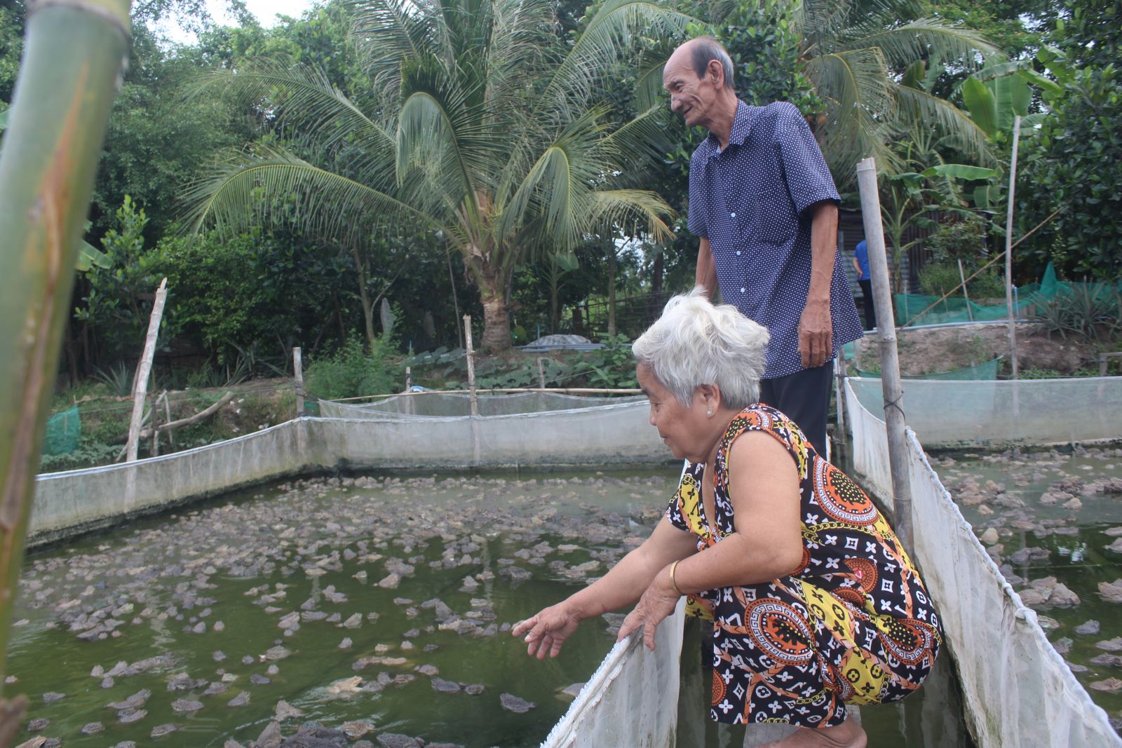 Long An: Mít Thái chung vườn với khóm, ếch chung ao với cá, nhà nông không chỉ khá mà còn đổi đời luôn - Ảnh 3.