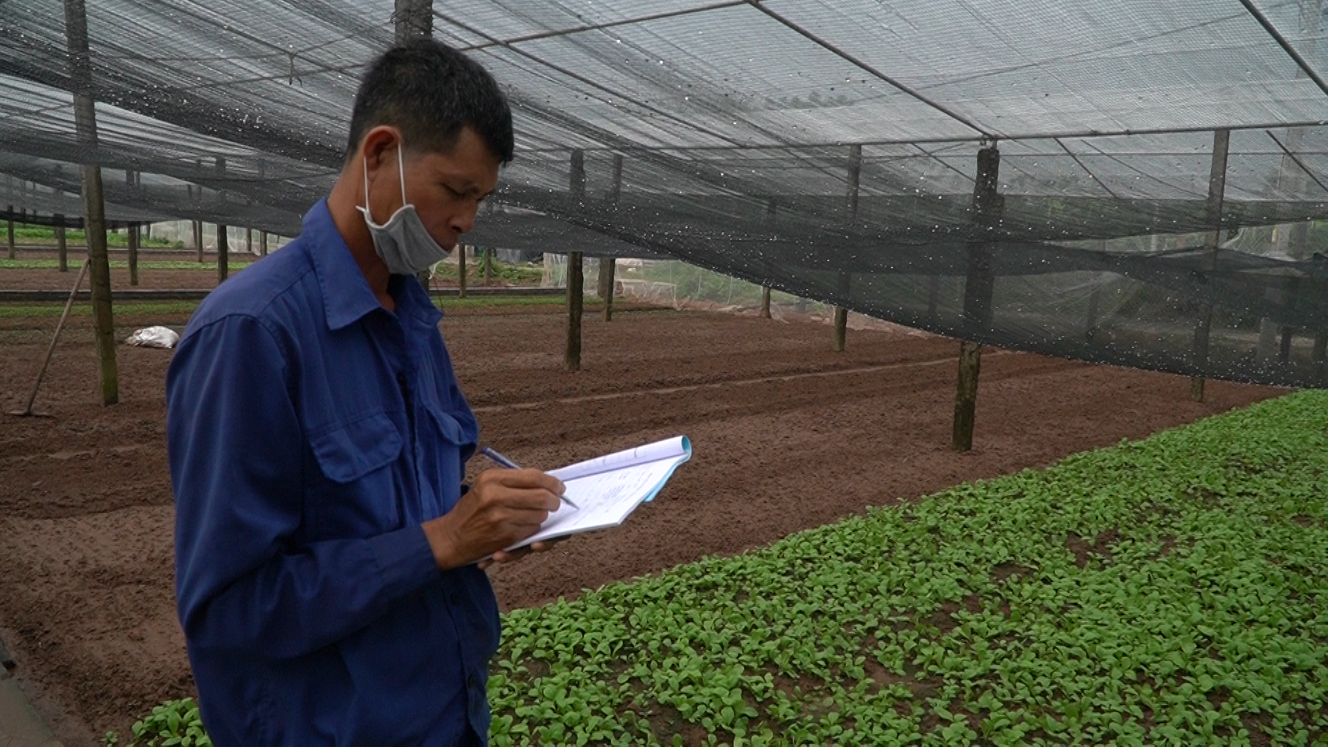 Áp dụng tiến bộ khoa học, &quot;chìa khóa vàng&quot; trong sản xuất nông nghiệp hiện đại  - Ảnh 2.