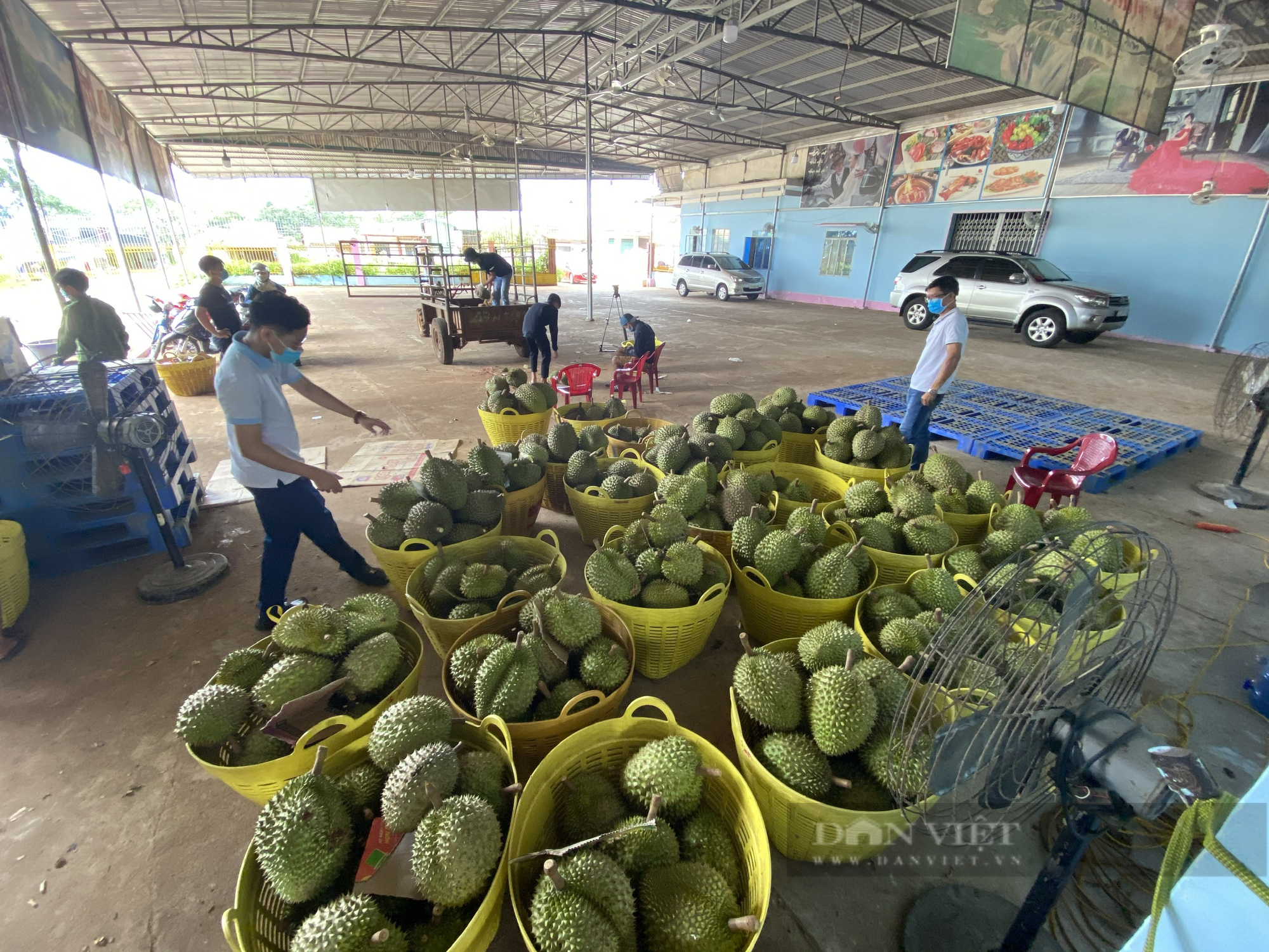 Đắk Lắk: Người dân kêu trời vì thứ quả chi chít gai rớt giá thê thảm trong &quot;mùa dịch bệnh&quot; - Ảnh 2.