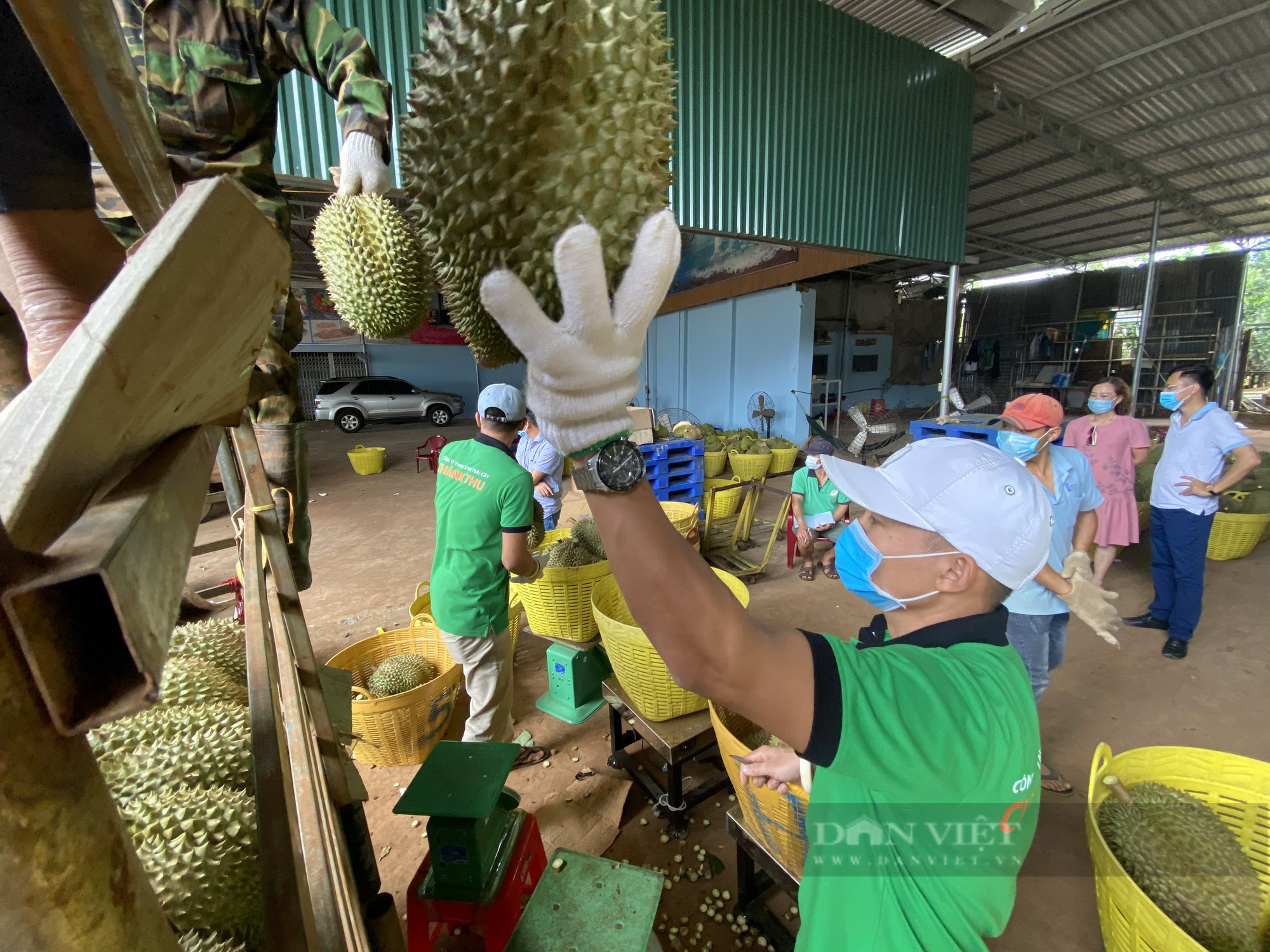 Đắk Lắk: Người dân kêu trời vì thứ quả chi chít gai rớt giá thê thảm trong &quot;mùa dịch bệnh&quot; - Ảnh 4.