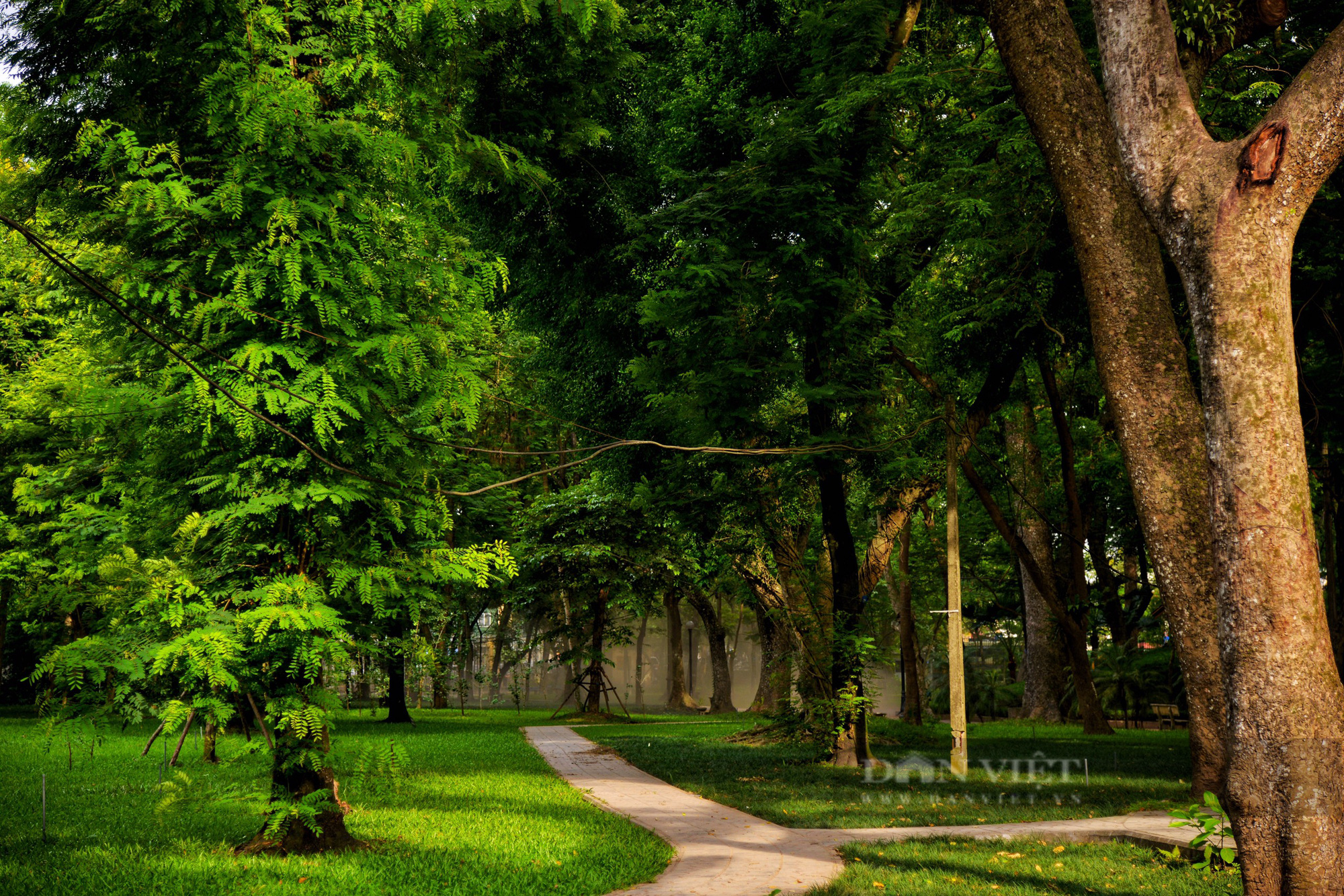 Vườn Bác Thảo lá phổi xanh điều hòa không khí ngay giữa lòng Tp Hà Nội - Ảnh 1.