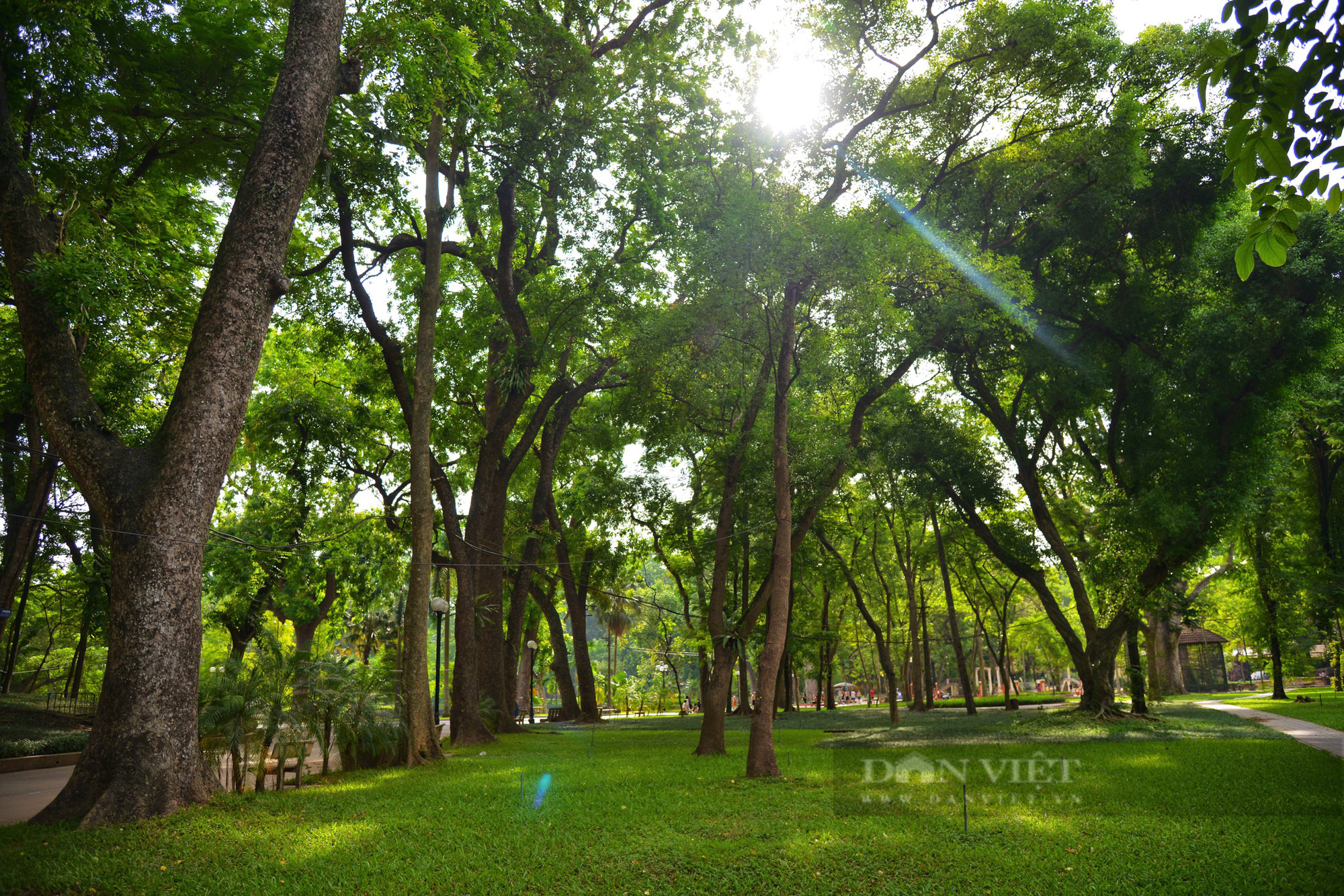 Vườn Bác Thảo lá phổi xanh điều hòa không khí ngay giữa lòng Tp Hà Nội - Ảnh 2.