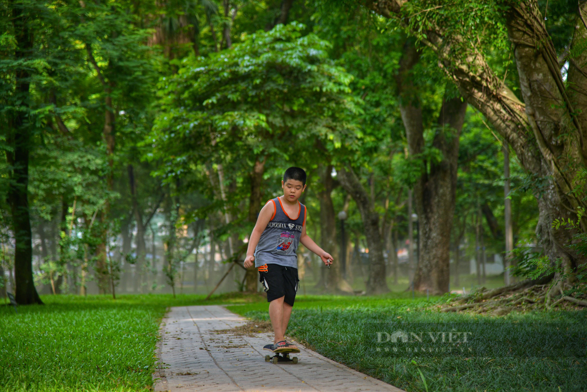 Vườn Bác Thảo lá phổi xanh điều hòa không khí ngay giữa lòng Tp Hà Nội - Ảnh 4.