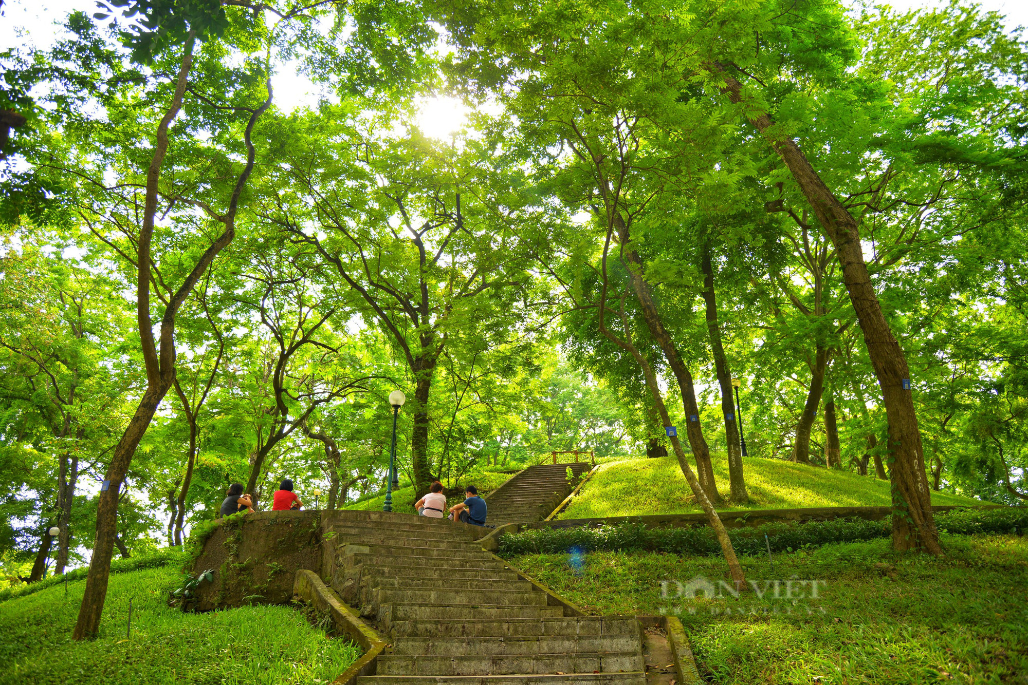 Vườn Bác Thảo lá phổi xanh điều hòa không khí ngay giữa lòng Tp Hà Nội - Ảnh 12.