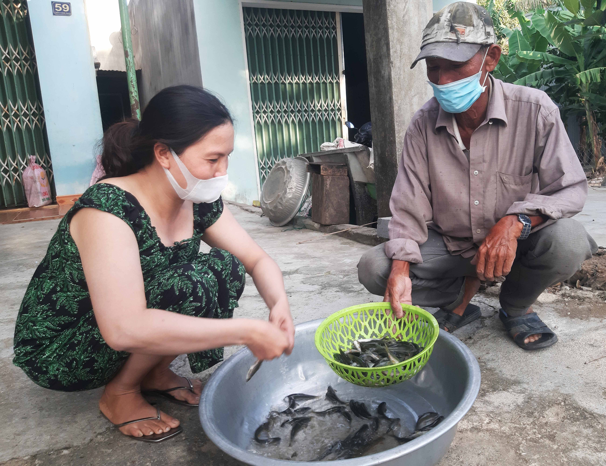 Gia Lai: Cá đá sông Ba thực ra là loài cá gì ai ai ở đây cũng thèm, cũng nhớ, cũng lo chúng tuyệt chủng? - Ảnh 6.