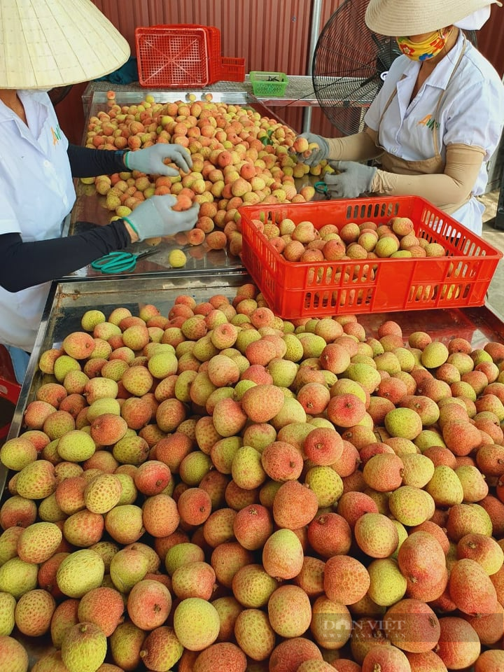 Nữ cán bộ nông nghiệp luôn hết mình nâng cao chất lượng và kết nối tiêu thụ nông sản Hải Dương - Ảnh 3.