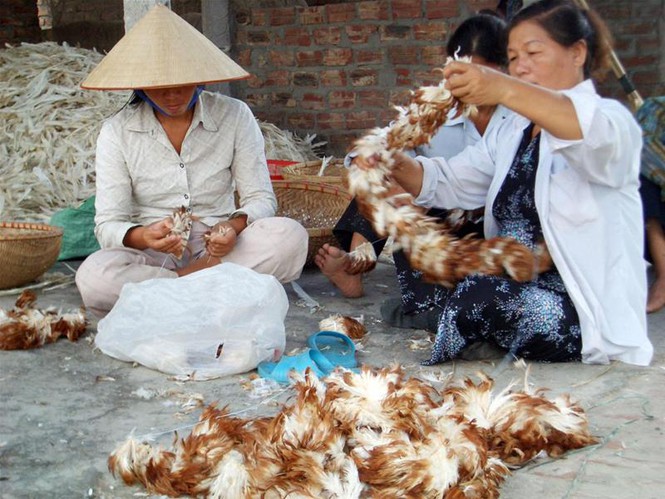 Trung Quốc cũng mua cả lông gà, lông vịt của Việt Nam, 6 tháng thu 20 triệu USD - Ảnh 2.