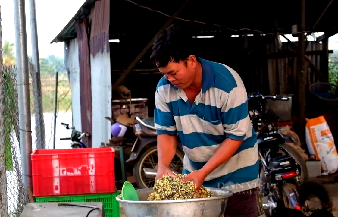 Đồng Nai: Bỏ cá đồng nuôi “tôm leo núi”, anh nông dân thu nửa tỷ đồng mỗi năm - Ảnh 1.