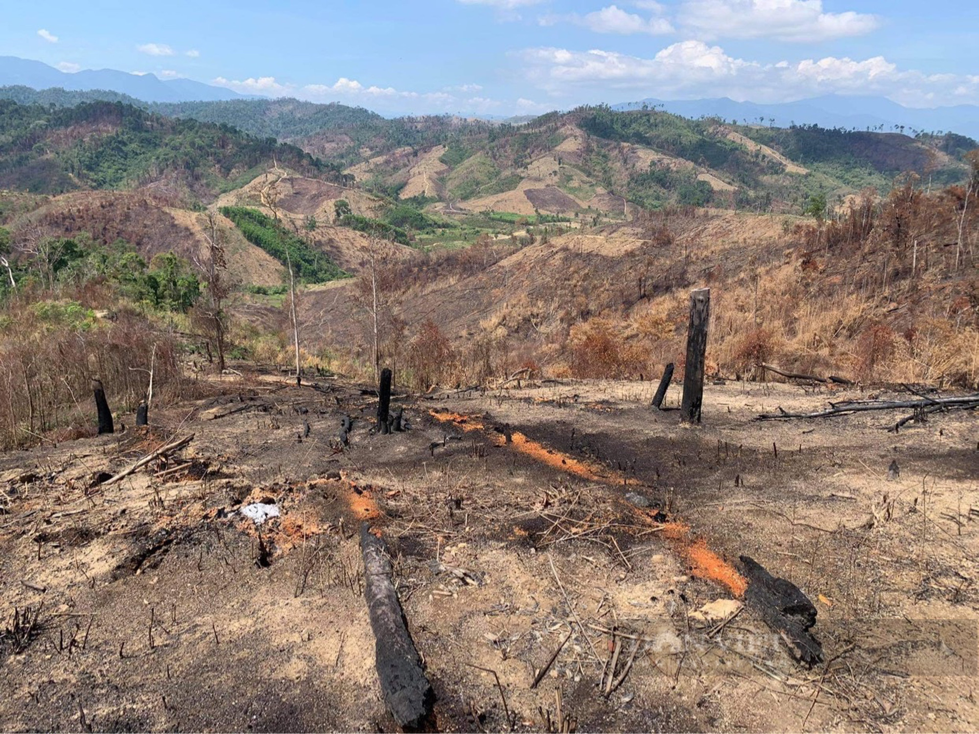 Đắk Lắk: Phát hiện 417 vụ phá rừng, chỉ xác định được đối tượng vi phạm 6 vụ - Ảnh 1.